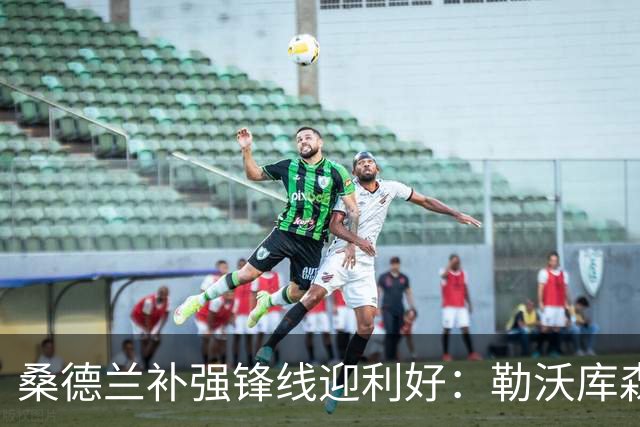 桑德兰补强锋线迎利好：勒沃库森愿售22岁攻击手，要价2500万欧